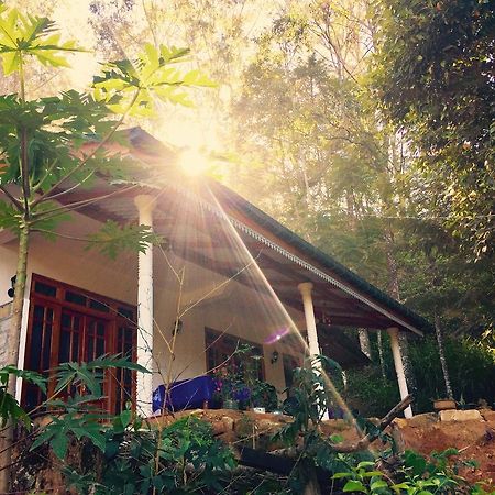 Secret Nest Homestay Ella Esterno foto