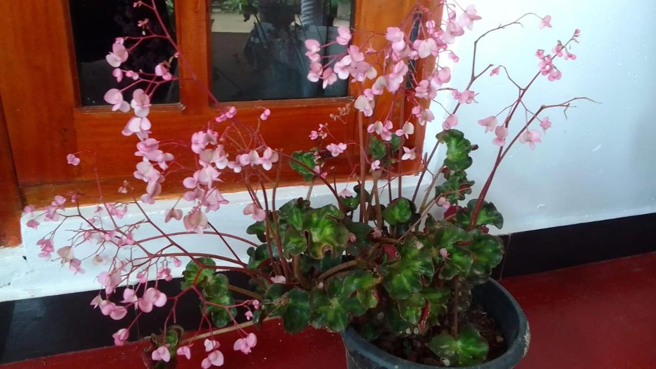 Secret Nest Homestay Ella Esterno foto