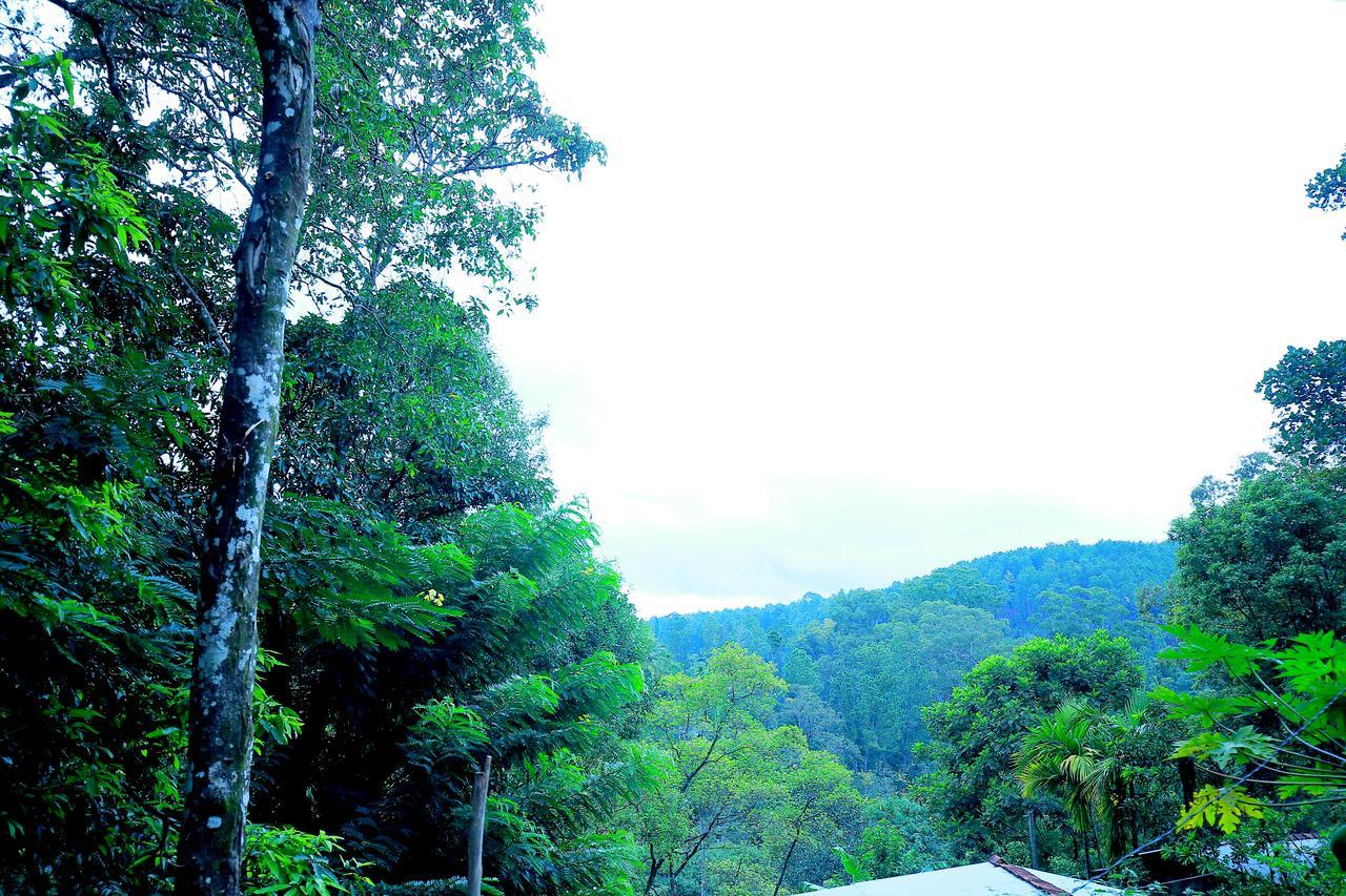 Secret Nest Homestay Ella Esterno foto
