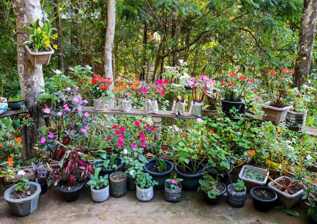 Secret Nest Homestay Ella Esterno foto