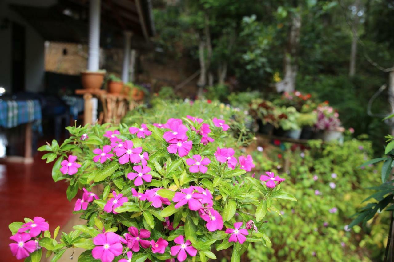 Secret Nest Homestay Ella Esterno foto