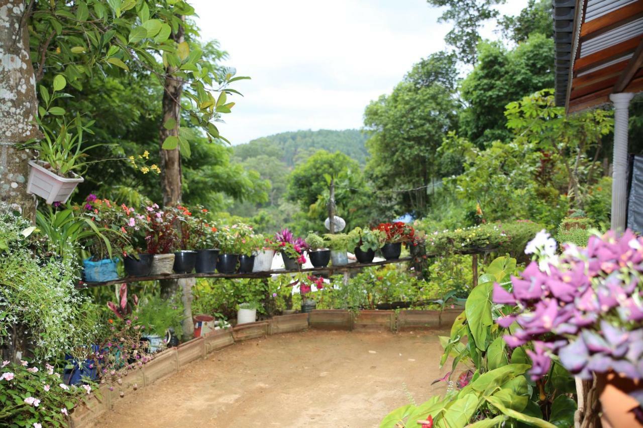 Secret Nest Homestay Ella Esterno foto