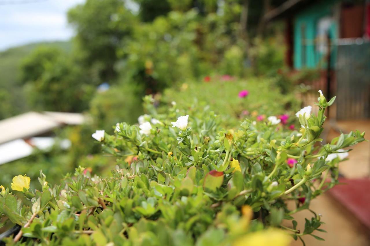 Secret Nest Homestay Ella Esterno foto